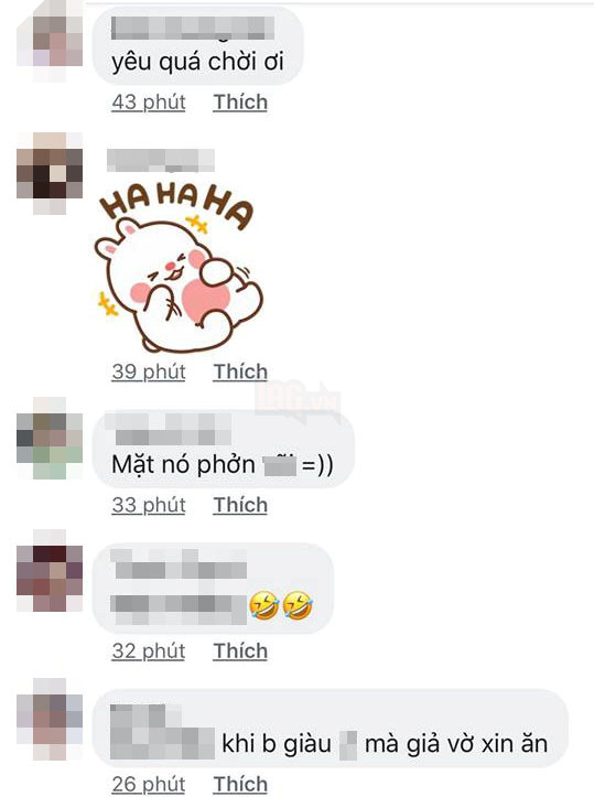 Nhà giàu, “bố” chủ quán bia nhưng đại boss Corgi vẫn đi xin ăn vì... đam mê 7