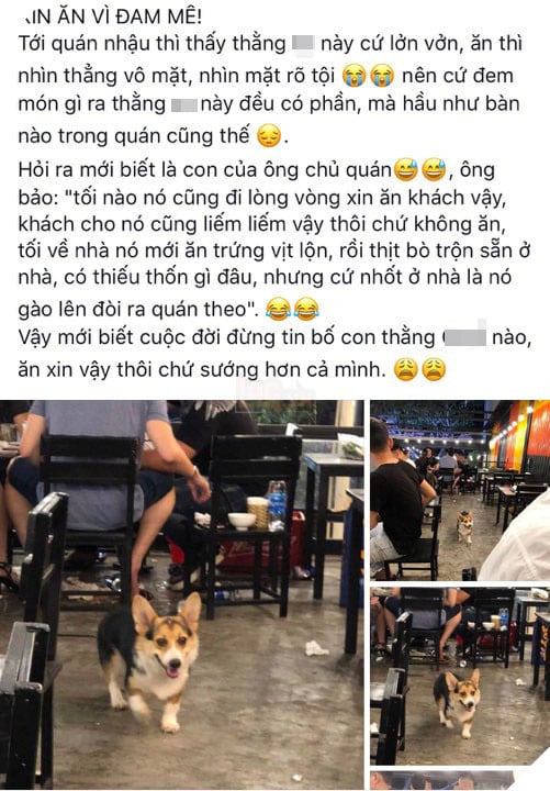  
Câu chuyện được chia sẻ trên MXH.