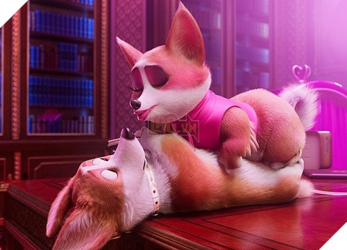 Corgi: Những chú chó hoàng gia và chuyện kết thông gia giữa Tổng thống Donald Trump - Nữ hoàng Anh 2