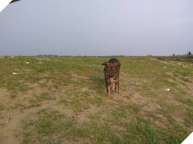 Ảnh: Dương Kế Việt Anh