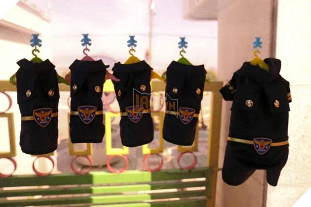 Mèo mẹ vác bụng bầu cho các anh cảnh sát đỡ đẻ dùm, sau đó chính thức trở thành cảnh sát mèo cực dễ thương ! 5