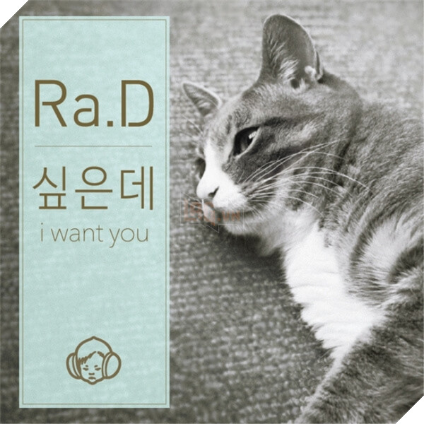 Chú mèo con chỉ ăn sỏi đá và cành cây, để dành thịt mang về cho mèo mẹ đã chết 6