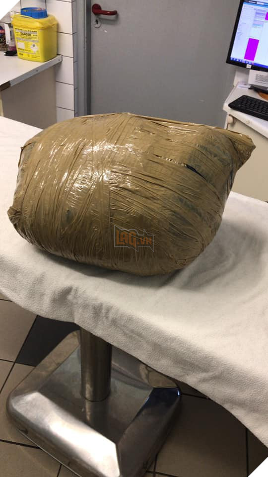 Cô gái đi du lịch về thấy chó cưng đã chết, thậm chí còn bị nhân viên chăm sóc quấn băng dính chặt cứng một cục - Ảnh 2.