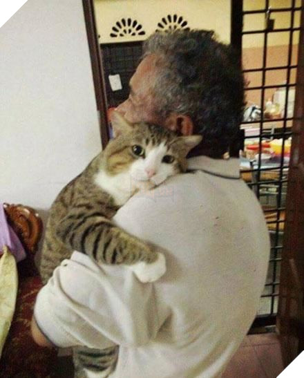 Bận quá nên nhờ ông ngoại chăm sóc hộ mèo cưng, đến ngày đón về thì hối hận vô cùng 2
