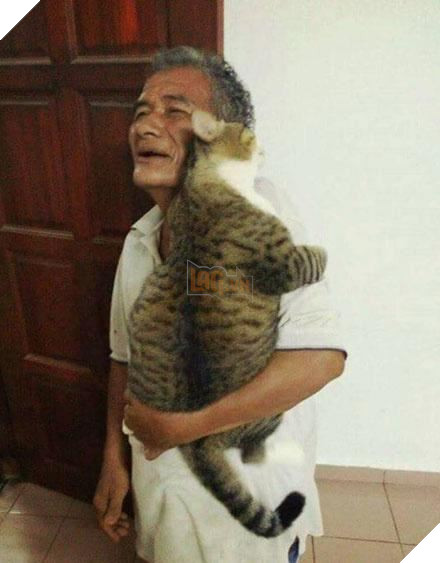 Bận quá nên nhờ ông ngoại chăm sóc hộ mèo cưng, đến ngày đón về thì hối hận vô cùng 3