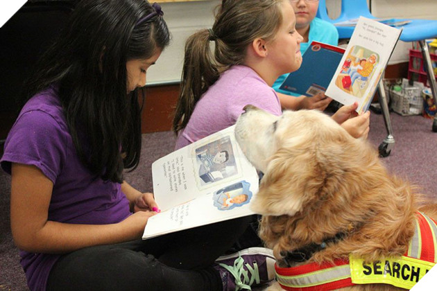 Bretagne trong vai trò hỗ trợ khả năng đọc cho các học sinh tiểu học (Ảnh: TEEX)