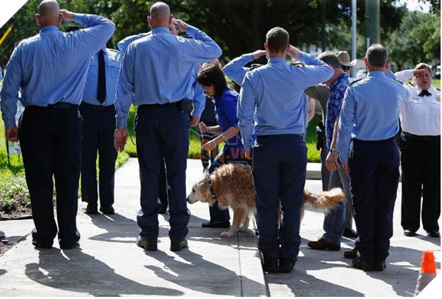 Những người lính cứu hỏa nghiêm trang chào Bretagne lần cuối hôm 6/6 (Ảnh: ABC News)