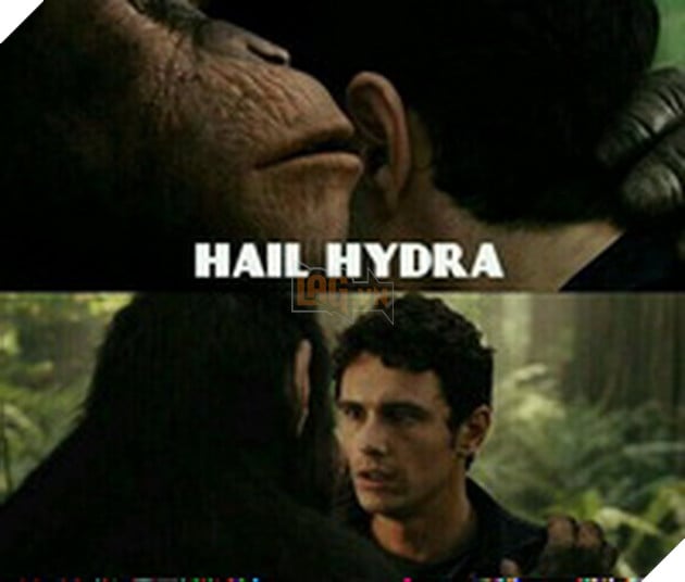 Hail Hydra là gì và tại sao Captain America lại nhắc tới nó trong Comic và phim 6