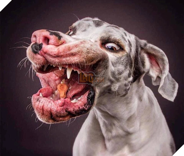 Xời! Ba đồ yêu 