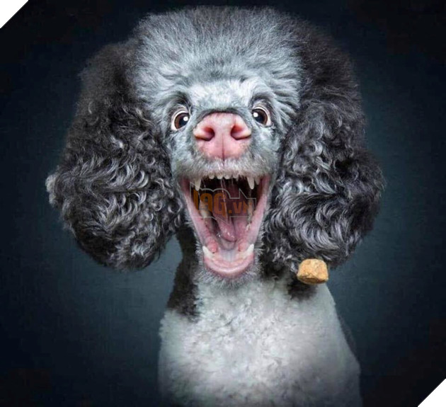  
Há miệng chờ sẵn rồi nè, các em kẹo cứ thế mà bay vào miệng anh thôi nhé