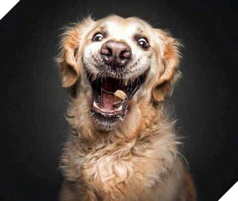  
Không trượt cục nào nhé