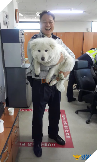 Sở cảnh sát cưu mang bé cún bị thương, không ngờ sau 1 năm em ấy biến thành ‘gã khổng lồ’ 8