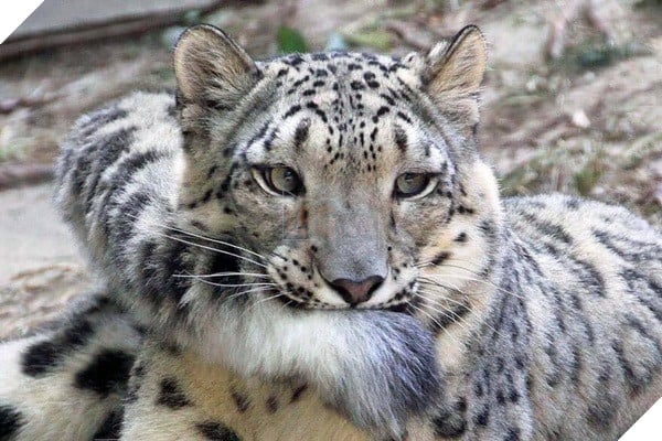 48372888_2329710283979986_7983564658109841408_n