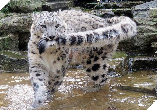 48390174_2329710213979993_1584431001910640640_n