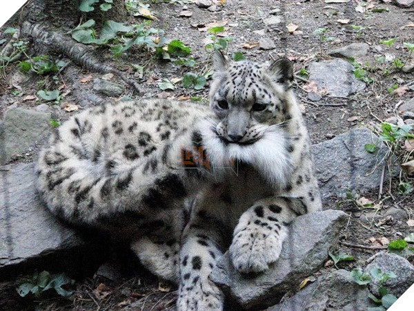 48416326_2329710247313323_2616635462751617024_n