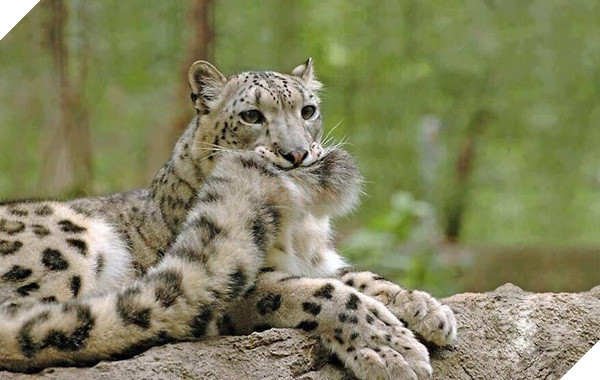 48426196_2329710230646658_4627232739181985792_n