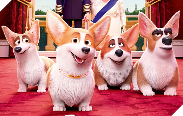 Biệt đội thú cưng tấn công màn ảnh thế giới năm 2019 P1  2