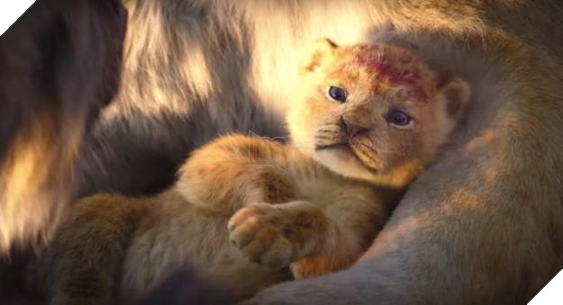 Biệt đội thú cưng tấn công màn ảnh thế giới năm 2019 P2  2