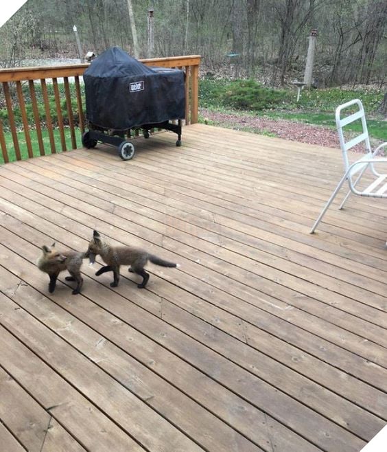 1d69b04468a35c1cf884ac8db8ba476c