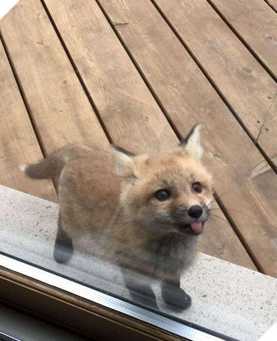 301f4d69e3f1128cad8386ac325efb3a