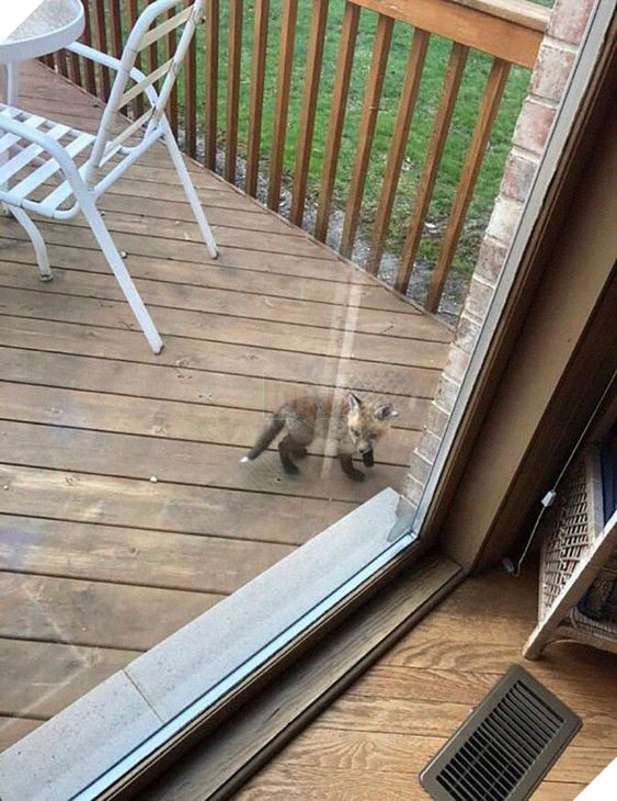 dab3447041f4dc13149c3d292eec9013