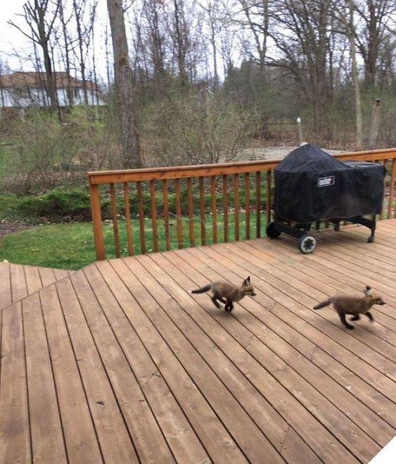 defa83276b670a4a8395864c5c852129