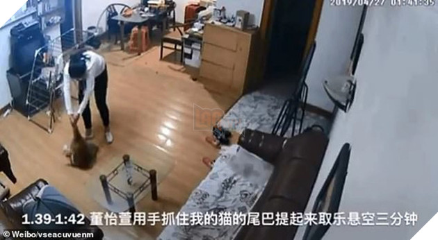 Nhờ bạn c&#249;ng ph&#242;ng chăm gi&#250;p m&#232;o cưng khi đi du lịch, c&#244; g&#225;i xem CCTV mới ph&#225;t hiện n&#243; bị h&#224;nh dạ d&#227; man - Ảnh 2.