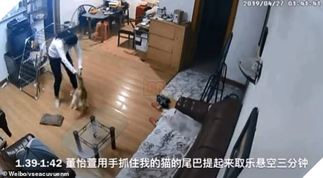 Nhờ bạn c&#249;ng ph&#242;ng chăm gi&#250;p m&#232;o cưng khi đi du lịch, c&#244; g&#225;i xem CCTV mới ph&#225;t hiện n&#243; bị h&#224;nh dạ d&#227; man - Ảnh 2.