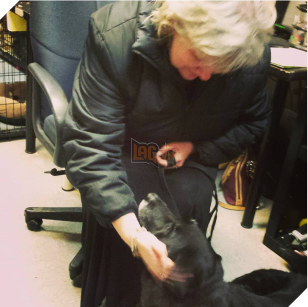 10 năm mất tính, bỗng nhiên chú chó trở về để đoàn tụ với gia đình 5