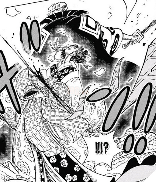 One Piece: Liệu Zoro và Hiyori có thể trở thành cặp đôi tiếp theo tại Arc Wano? 3