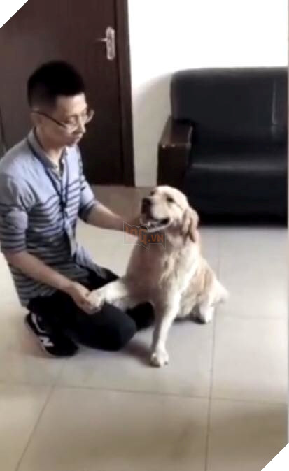  
Câu chuyện về chú chó này đang nhận được sự quan tâm từ đông đảo cư dân mạng.