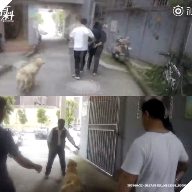  
Chủ nhân của mình bị bắt đi, chú chó lon ton chạy theo vào đồn cảnh sát.