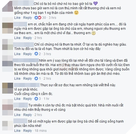 Câu chuyện đã lay động trái tim của rất nhiều người