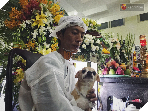 Chú chó Lucky được gia đình buộc tang trắng, quấn quýt bên linh cữu cố nghệ sĩ Lê Bình - Ảnh 1.