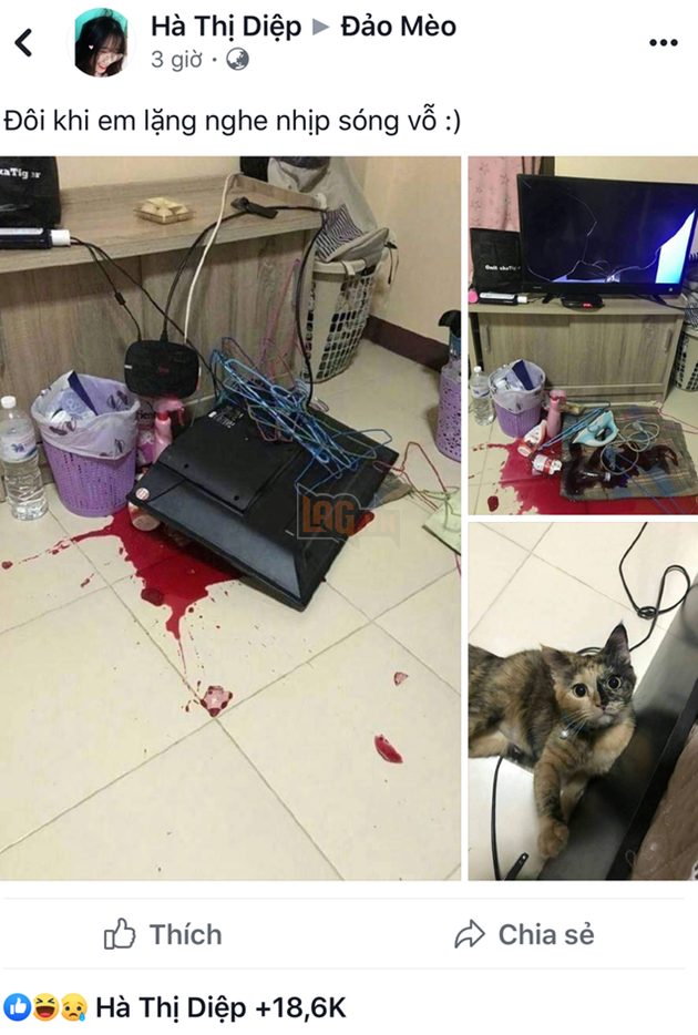 Thót tim khi căn phòng bị xới tung có vệt đỏ như máu, sen chỉ biết câm nín khi nhìn thấy chân dung thủ phạm - Ảnh 1.