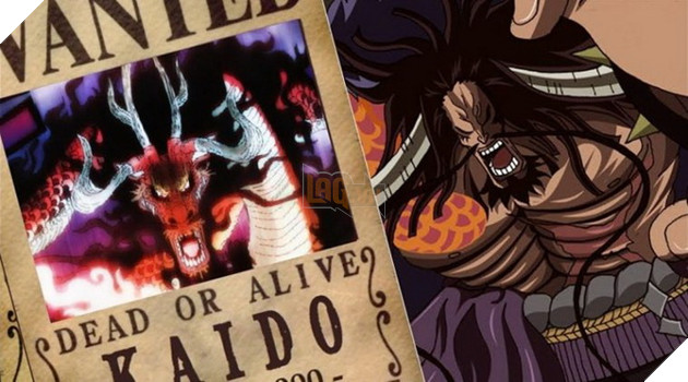 One Piece Ngay cả Oda cũng chưa biết cách Luffy sẽ đánh bai Kaido ra sao