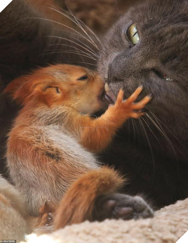 12722314 0 image a 39 1556219734574