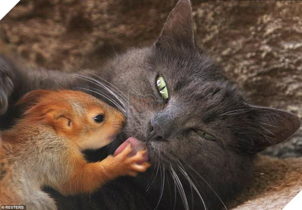 12722318 0 image a 38 1556219731753