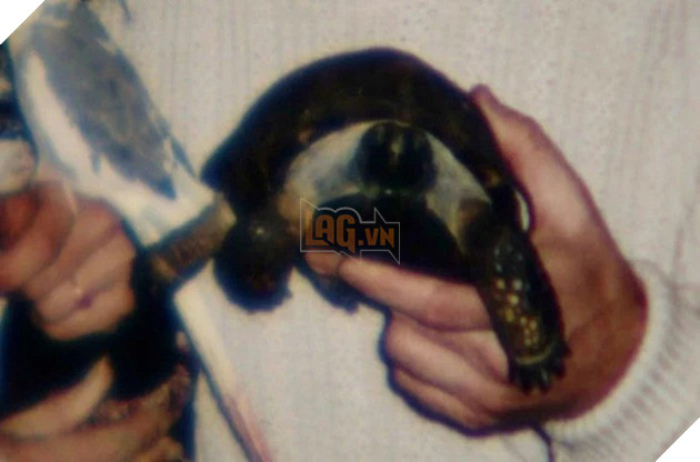 Tình bạn cảm động suốt 57 năm đằng đẵng của người phụ nữ và thú cưng đặc biệt - một cụ rùa - Ảnh 1.