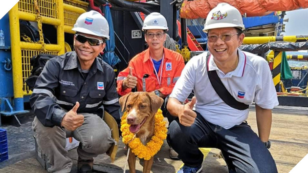 lost bird chu cho boi 220km den gian khoan thai lan 1