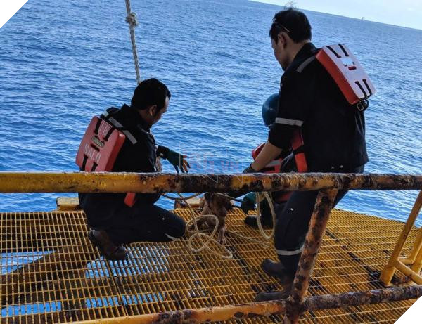 lost bird chu cho boi 220km den gian khoan thai lan 8