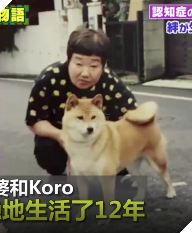 Clip: Cụ b&#224; v&#224; ch&#250; ch&#243; cưng c&#249;ng bị mất tr&#237; nhớ nhưng vẫn nhận ra nhau sau thời gian d&#224;i xa c&#225;ch - Ảnh 1.