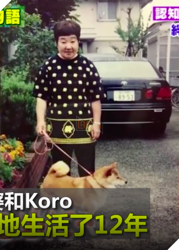 Clip: Cụ b&#224; v&#224; ch&#250; ch&#243; cưng c&#249;ng bị mất tr&#237; nhớ nhưng vẫn nhận ra nhau sau thời gian d&#224;i xa c&#225;ch - Ảnh 1.