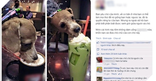 Tranh cãi chuyện chó cưng dùng cốc uống nước: Tôi đã trả tiền, cốc dùng xong sẽ rửa, chẳng sao cả  2