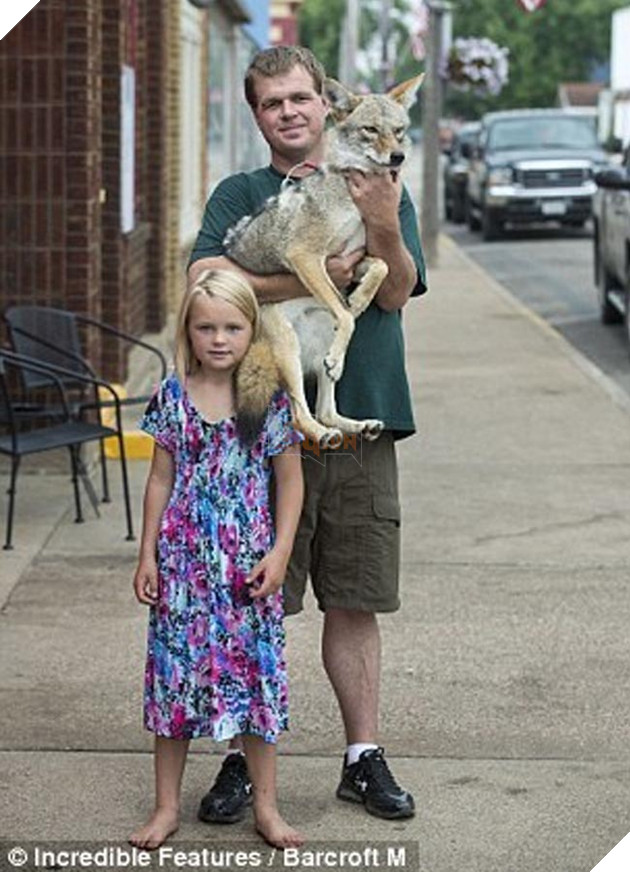 bắt cún về nuôi hóa ra là con sói