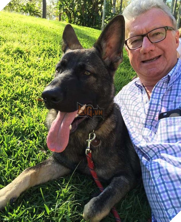 Chú chó cảnh sát bị sa thải vì thích làm quen với người lạ, bỏ quên nhiệm vụ 5