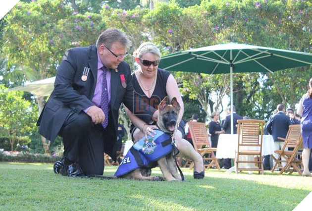 chú chó cảnh sát đáng yêu