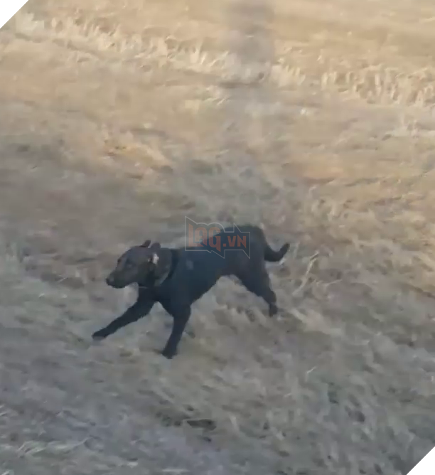 
Nó bỏ đi vài hôm mới chịu trở về nhà.