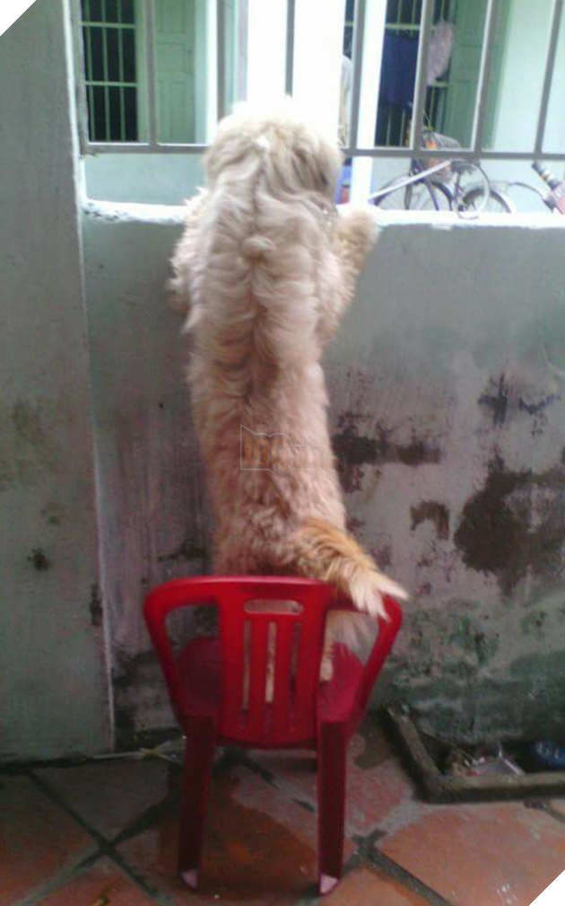 Khi boss có độ hóng hớt cực cao mà lại được sen hỗ trợ nhiệt tình thì còn gì bằng 2