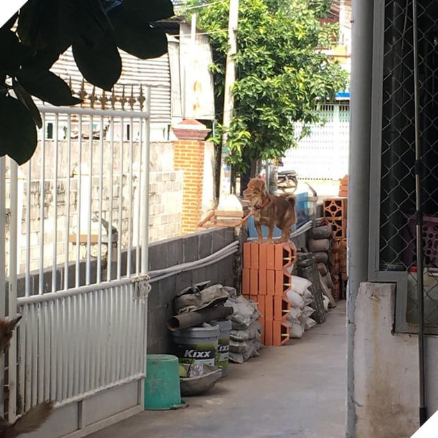 Khi boss có độ hóng hớt cực cao mà lại được sen hỗ trợ nhiệt tình thì còn gì bằng 3